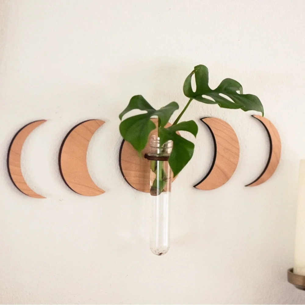 Moon Phase Hanging Plant Propagation Test Tube Station Gift Wall Decor Vase Boho
